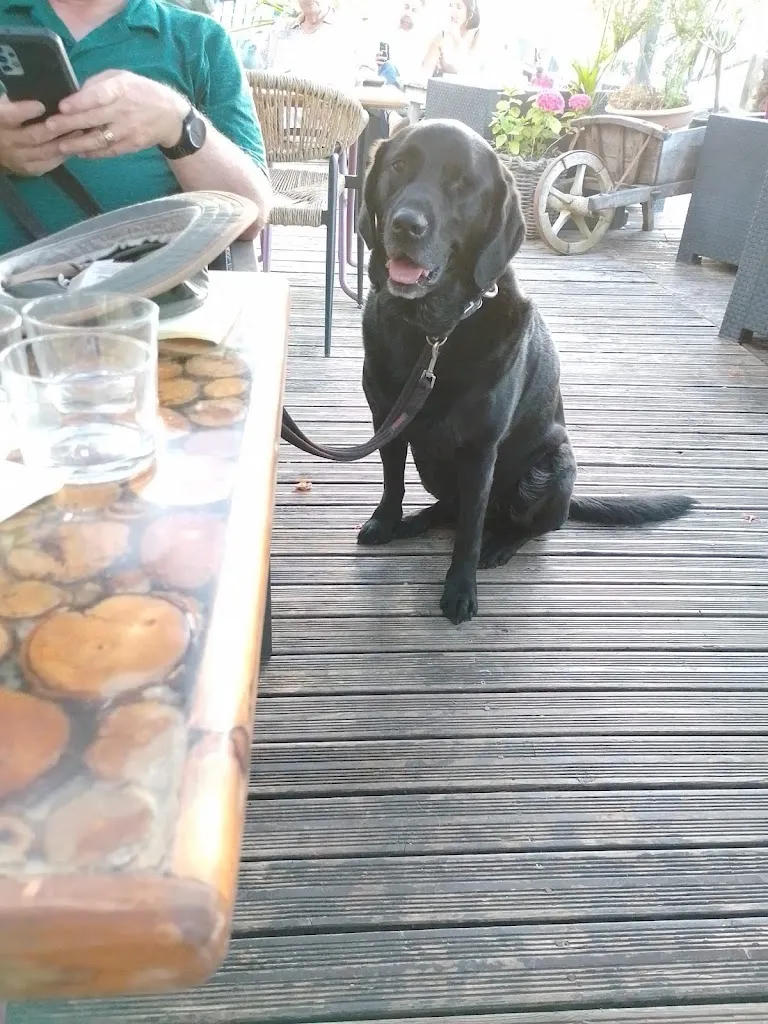 Sheila Marshall_Restaurant L'Île aux Oiseaux_Bram_review