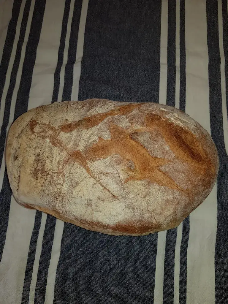 florence Mas_Boulangerie pâtisserie Sandwicherie Duffourg jean Claude_Alzonne_review