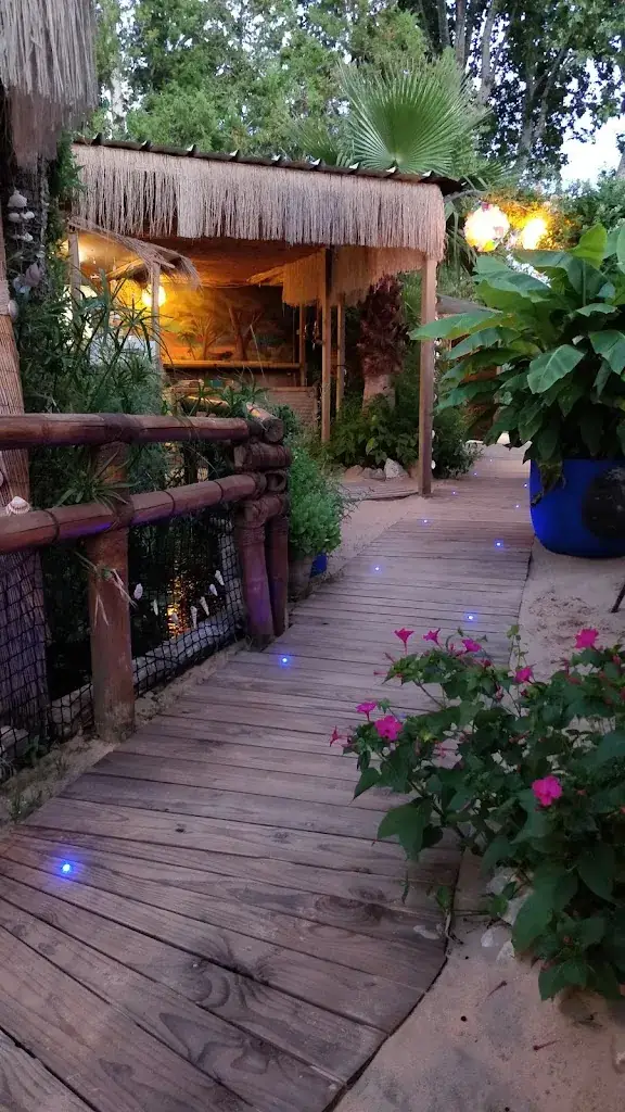 Stinee1_CocoYa Beach Restaurant - Bar - Cocktails - Tapas - Evènements - Aniane, Montpellier, Hérault_Aniane_review