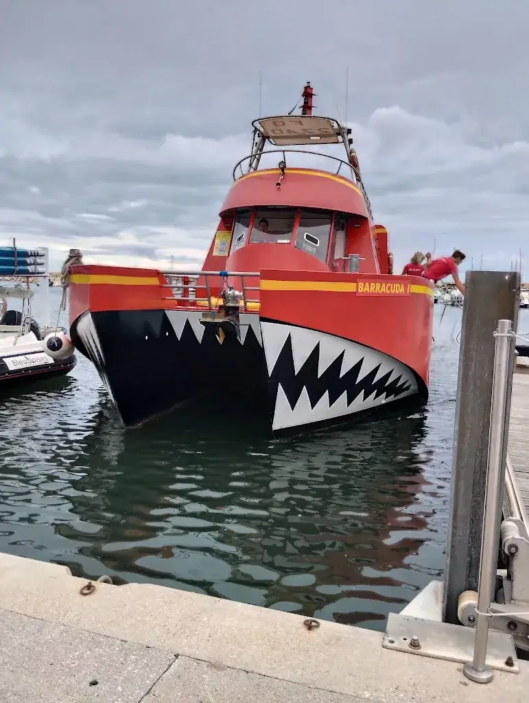 La Bodega du port_Argelès-sur-Mer_slider_image_2