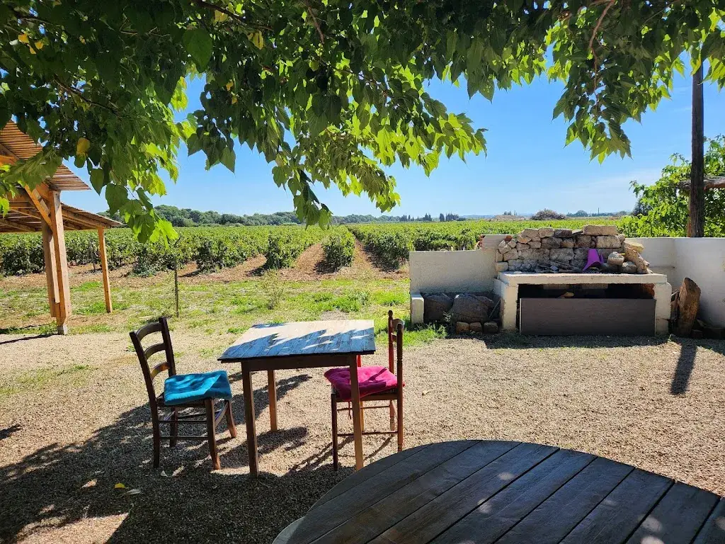 Vasuki T_Lou Cabanot_Argeliers_review