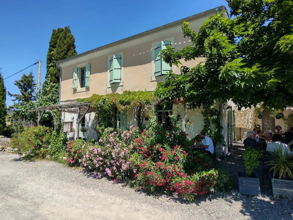 Peter Bridge_Le Chat Qui Pêche_Argeliers_review