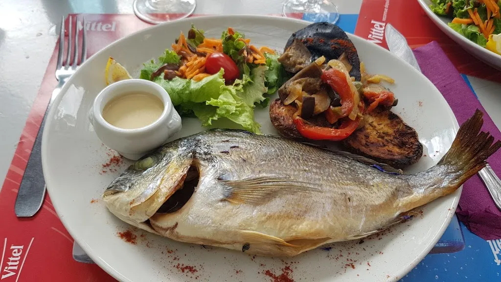 Le Chat Qui Pêche_Argeliers_slider_image_2