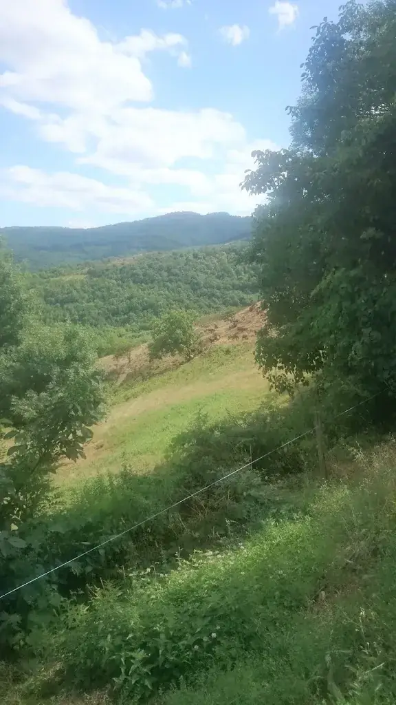 Bérillon Robert_Perréon_slider_image_1