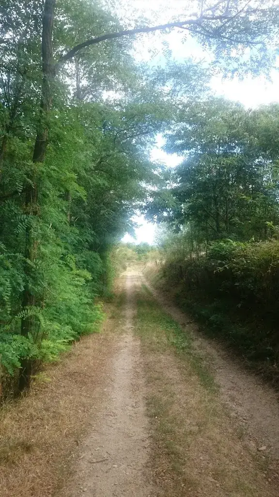 Bérillon Robert_Perréon_slider_image_3