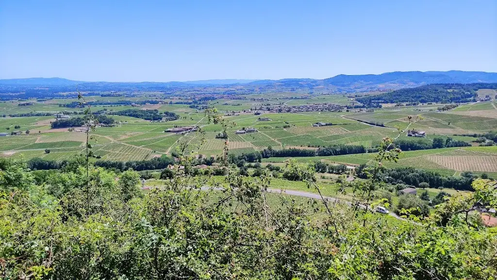 Le Côte de Brouilly_Odenas_slider_image_3