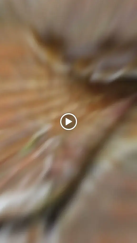 L’essentiel bistrot_Arles_slider_image_2