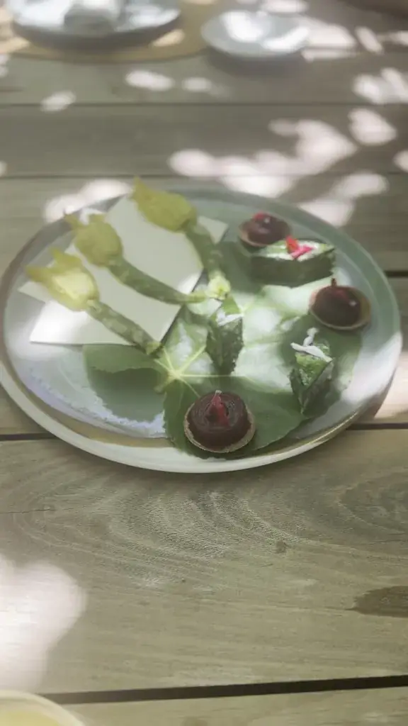 Roxana Zegan_La Chassagnette_Arles_review