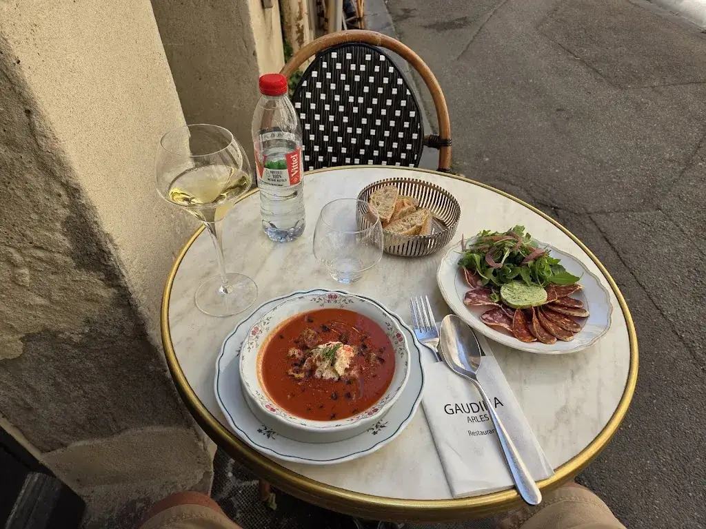 Dominic Carpin_Gaudina_Arles_review