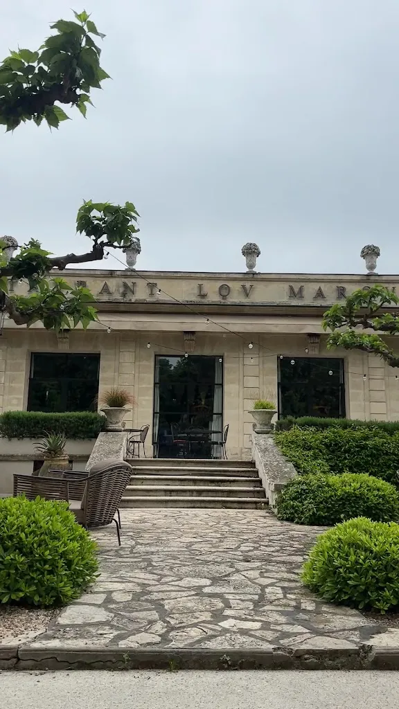 Lou Marques_Arles_slider_image_2