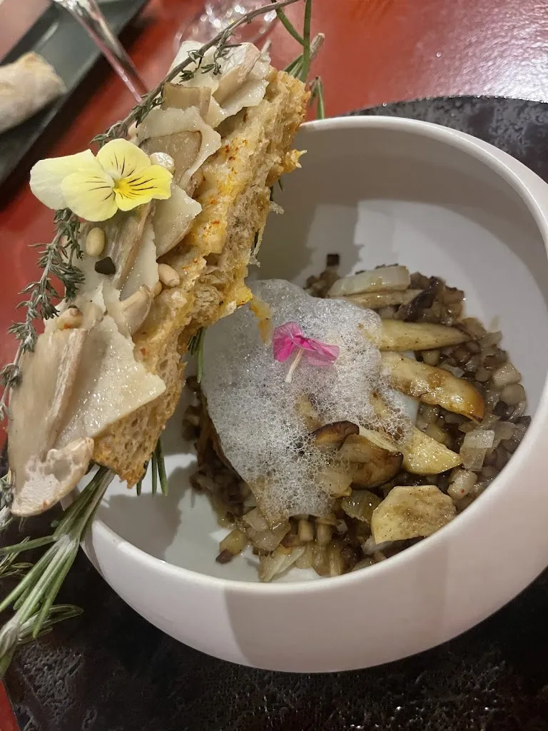 Ben Li_Les Maisons Rabanel_Arles_review