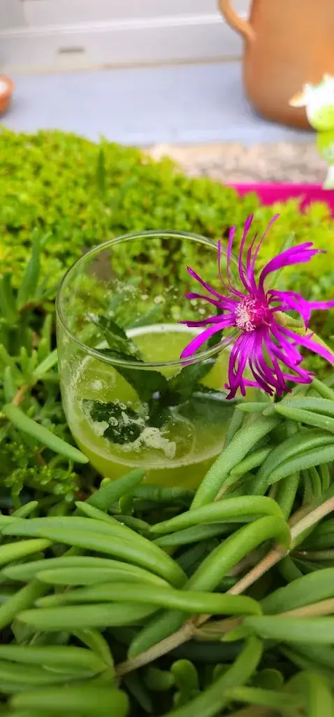 Camille Revaux _Le Petit Charlot_Murette_review