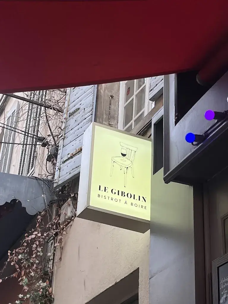 Max Persson_Le Gibolin_Arles_review