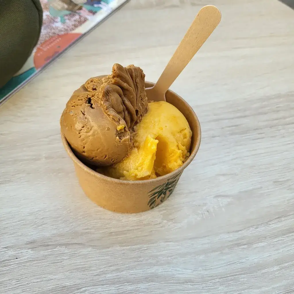 antônia_Restaurant Arles - Le Comptoir du Calendal - La Table du Calendal - Garden Café_Arles_avis