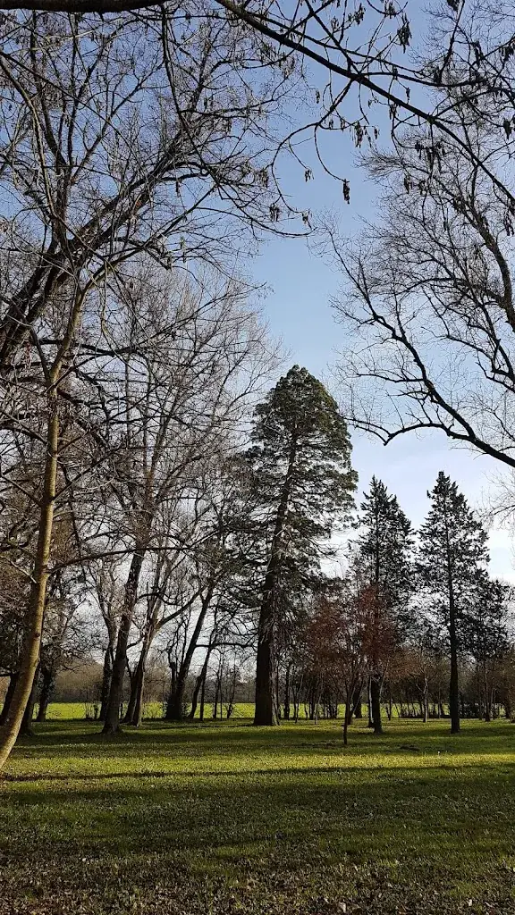 Bruno Dubois_Le Relais du Pont Vieux_Auriac-sur-Vendinelle_review