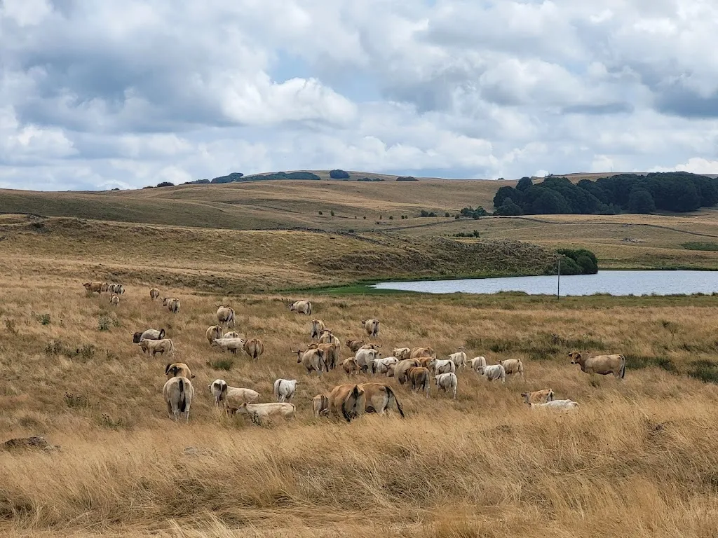 Cécile CHABBERT_Le Buron de Born_Marchastel_review