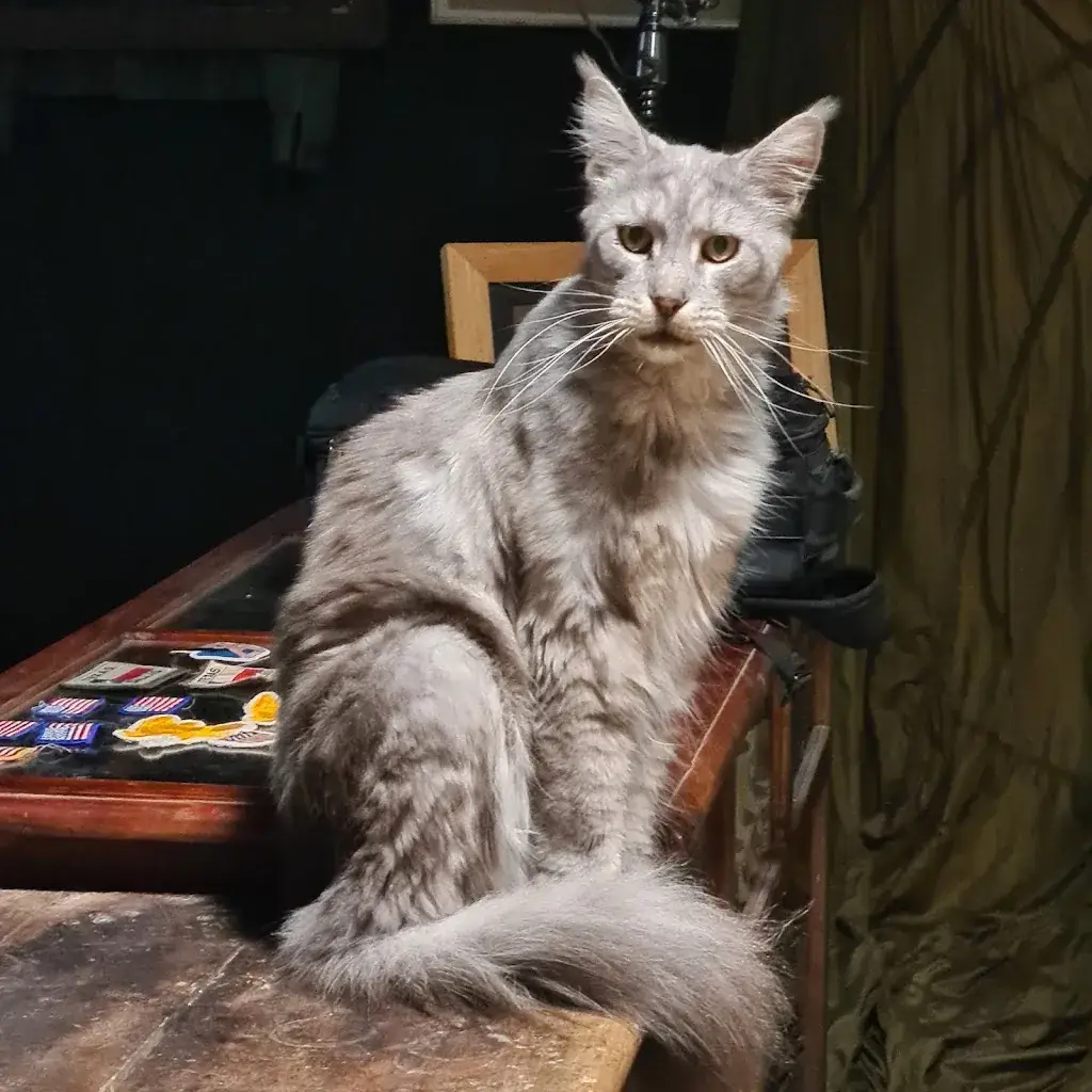 adeline_vitsavie_L'impass_Aussonne_review