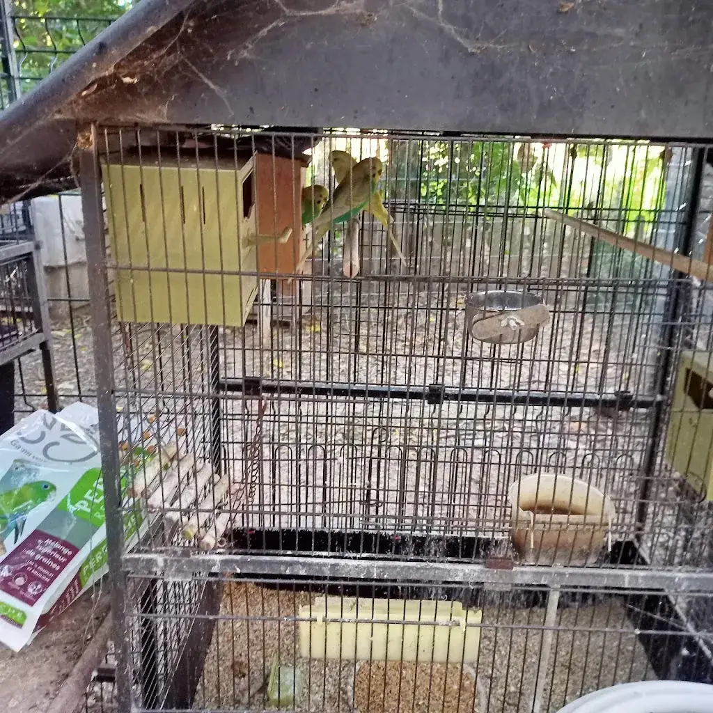 Fred 1968_resturant la ferme_Azille_reseña