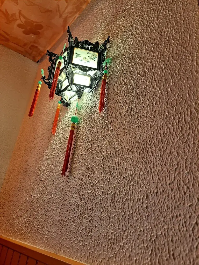 corinne peirasso_Délices de Pékin AUTERIVE. Attention horaires indiquées sont des horaires ouverture et fermeture de la salle restaurant._Auterive_review