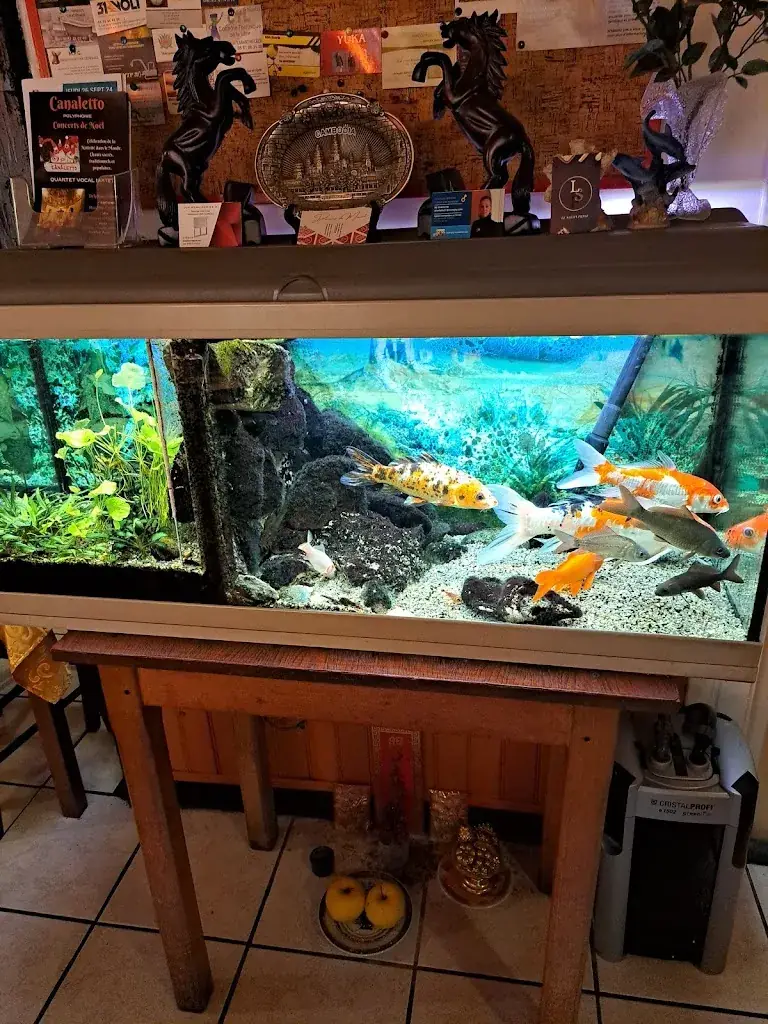 Délices de Pékin AUTERIVE. Attention horaires indiquées sont des horaires ouverture et fermeture de la salle restaurant._Auterive_slider_image_3