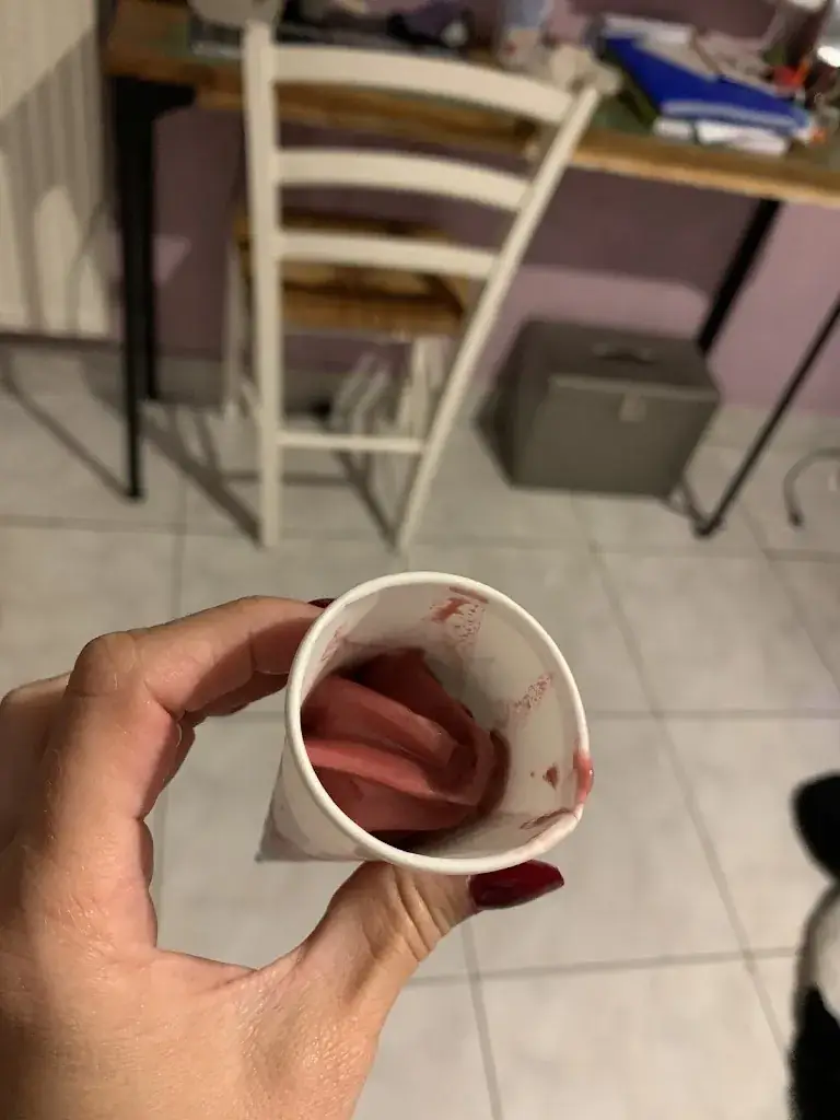 Menu_McDonald's_Auterive_image_9