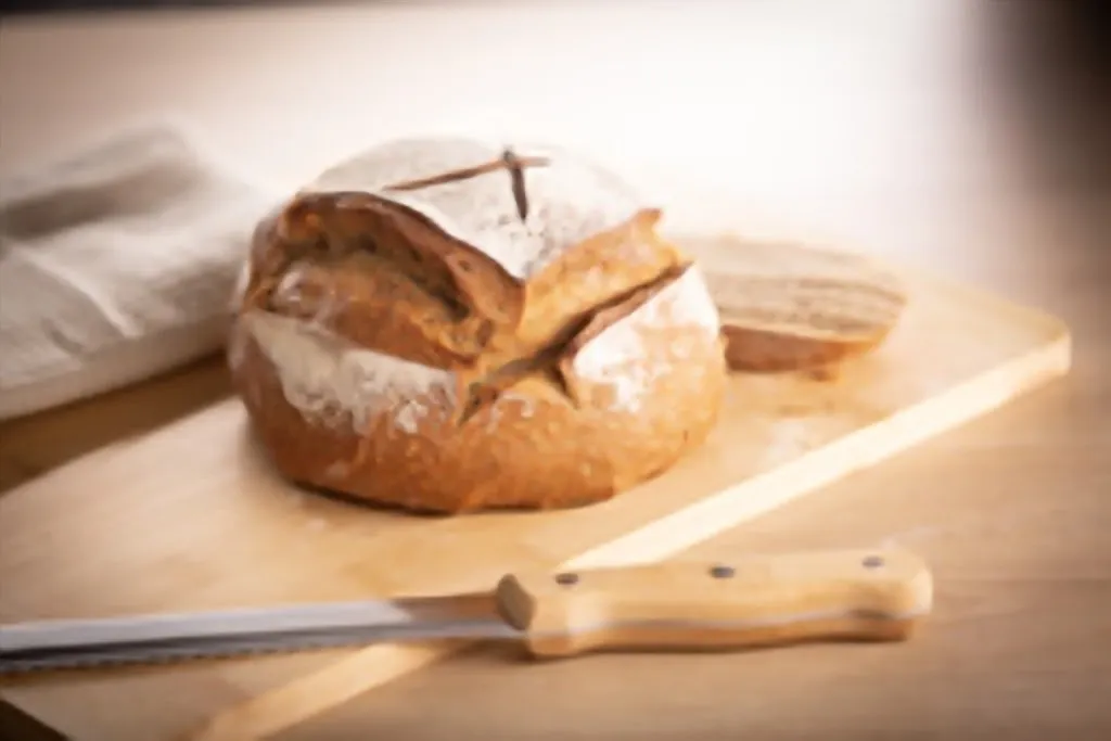 Menu_Sophie Lebreuilly_Auterive_immagine_4