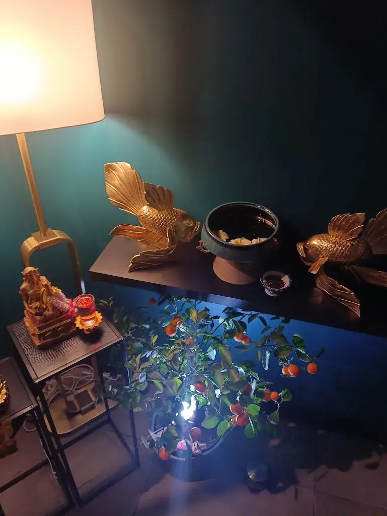 Mohamed Saad_Le Tigre qui Riz_Auterive_review