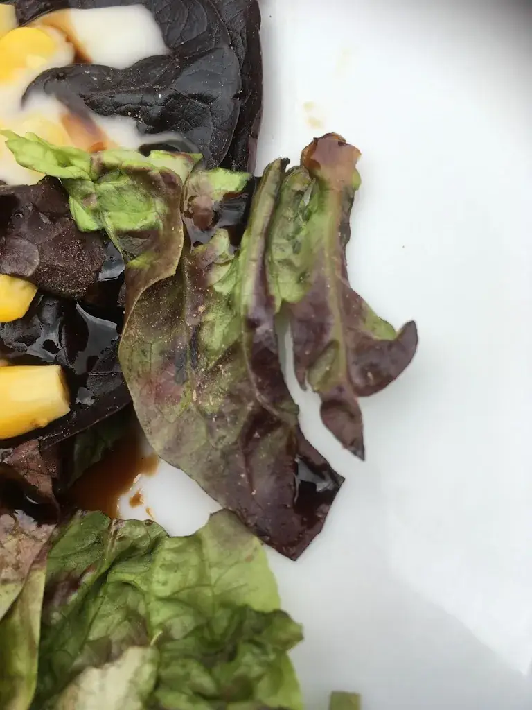 Menü_Restaurant Le Breilh - Hôtel_Ax-les-Thermes_Bild_5