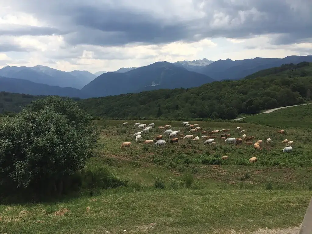 Adam Berger_la Marmotte Toquée_Ignaux_review