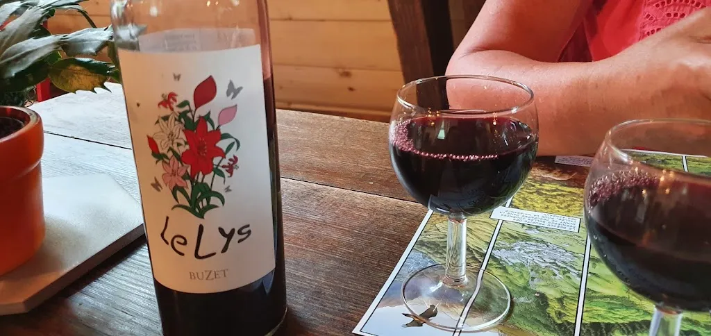 Menu_Auberge de la Fontaine des Fées_Bagnères-de-Bigorre_image_9