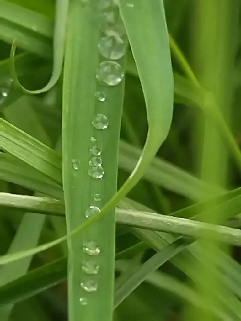 Bar Des Plaines_Apprieu_slider_image_3