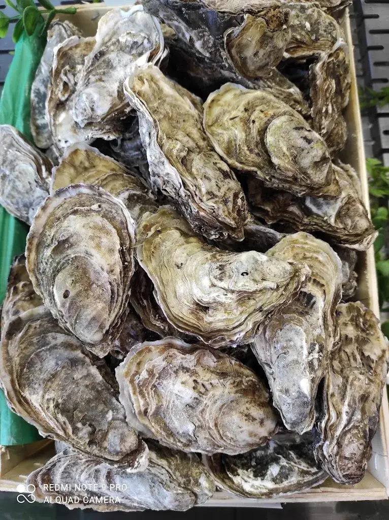 Menu_La Rôtisserie de Nathalie / Aujourd’huîtres_Bagnères-de-Luchon_image_4