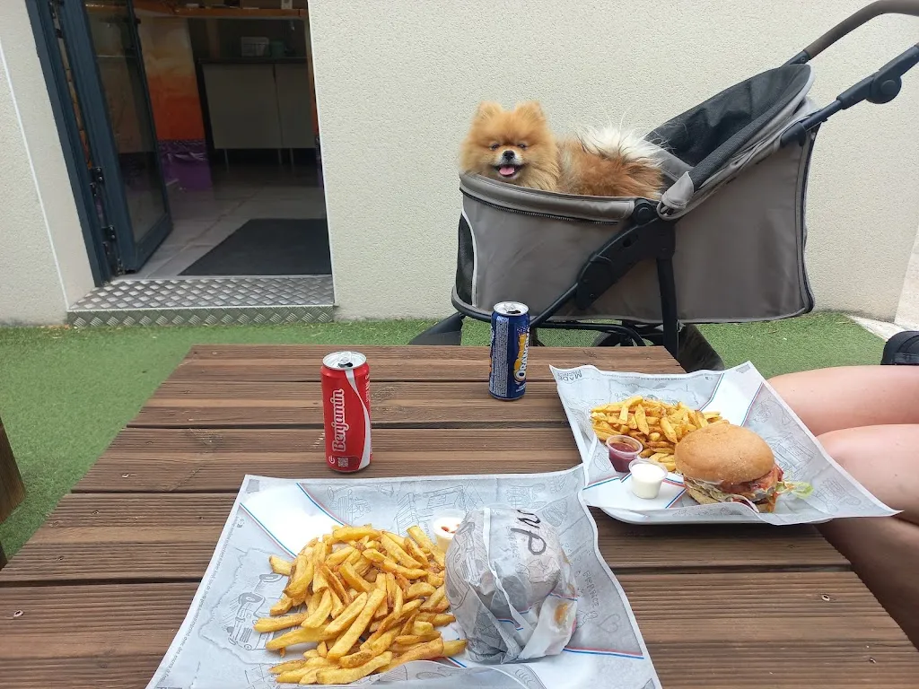 g springer_Hop hop hop pizzas / burgers banyuls dels aspres_Banyuls-dels-Aspres_review