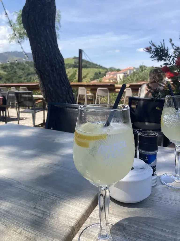 Off The Trail Tours_LA CABANA D'ARNO_Banyuls-sur-Mer_review