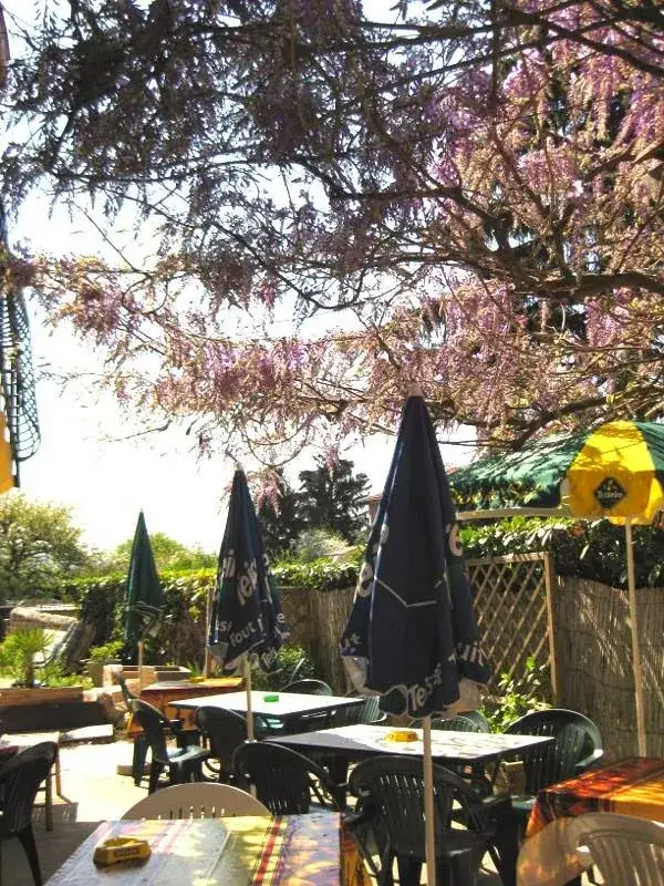 Restaurant-pizzeria la Sarazine / Vienne et Roussillon restaurant in Côtes-d'Arey