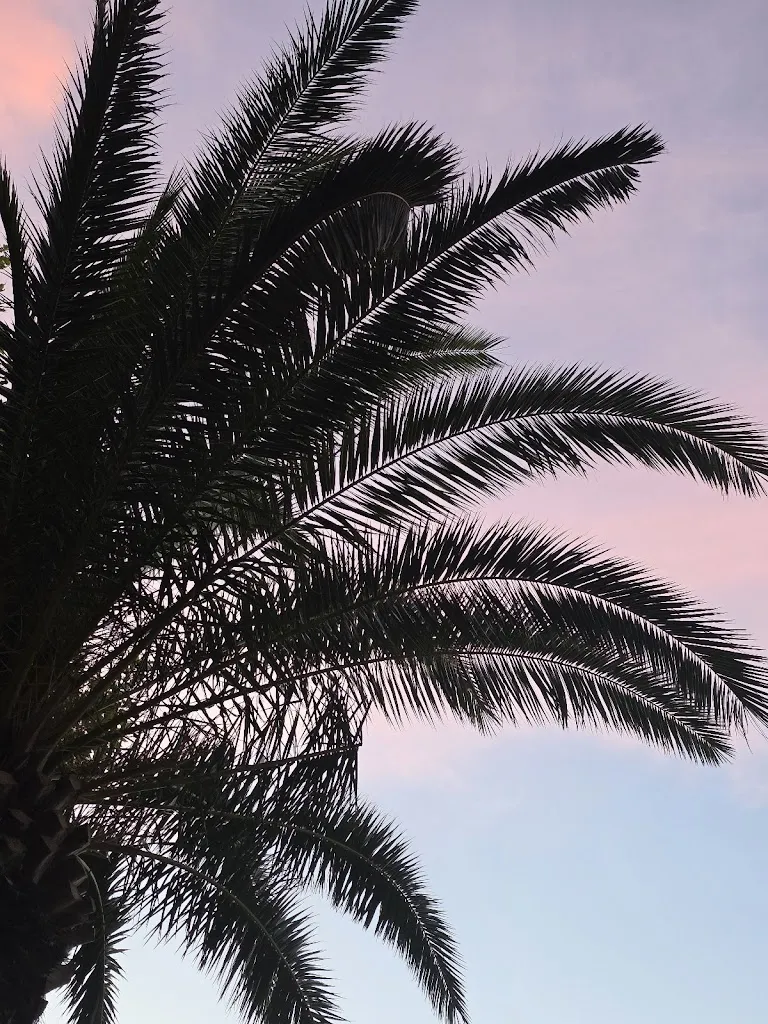 Ben Maynard_Maximo Café - Restaurant Italien_Banyuls-sur-Mer_review