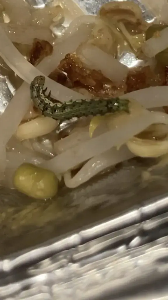 Mathieu S 34_Le Palanquin_Mauguio_review