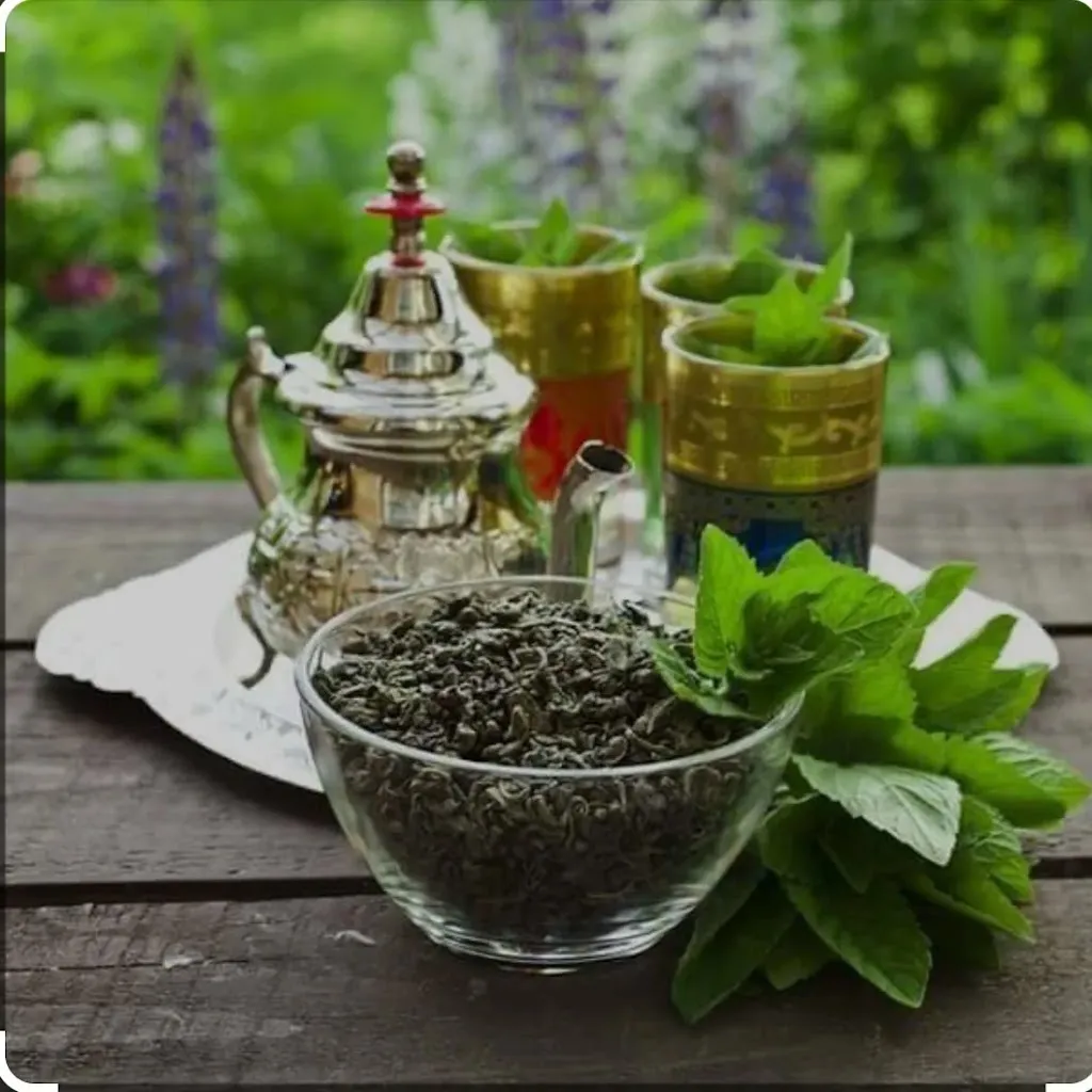 Lomagne Tacos_Beaumont-de-Lomagne_slider_image_3