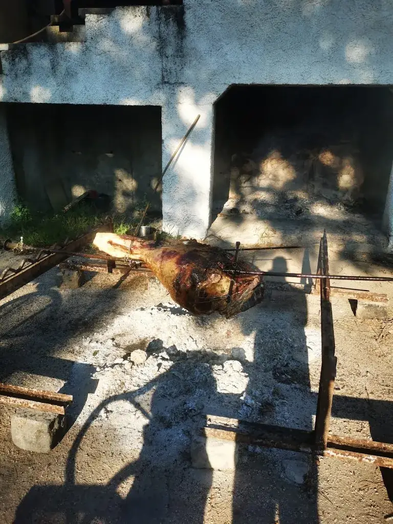 Virginie Mouillerac_Le Fer à Cheval_Beaucaire_review