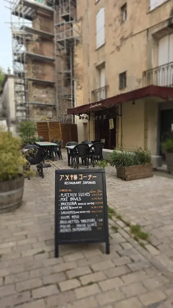 Anne Sauvagnac_Ameyoko corner_Bédarieux_review