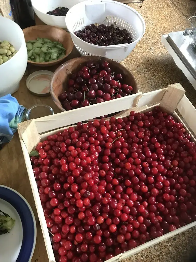 Menu_Fabrique paysanne_Bédarieux_image_8