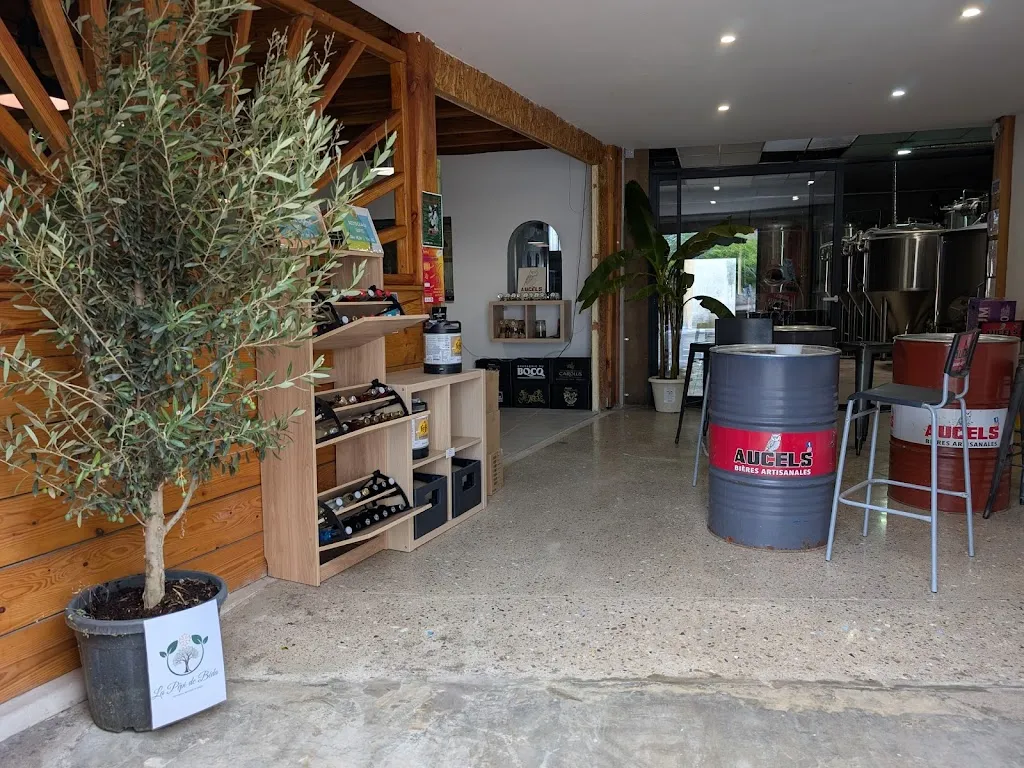 Brasserie des Aucels - Le Comptoir_Bédarieux_slider_image_3