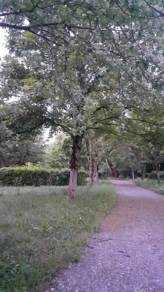 Camping Belmont sur Rance Vert Lavande_Belmont-sur-Rance_slider_image_2