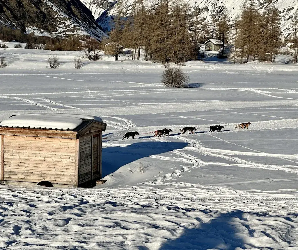 jean marie walch_Bessan_Bessan_review