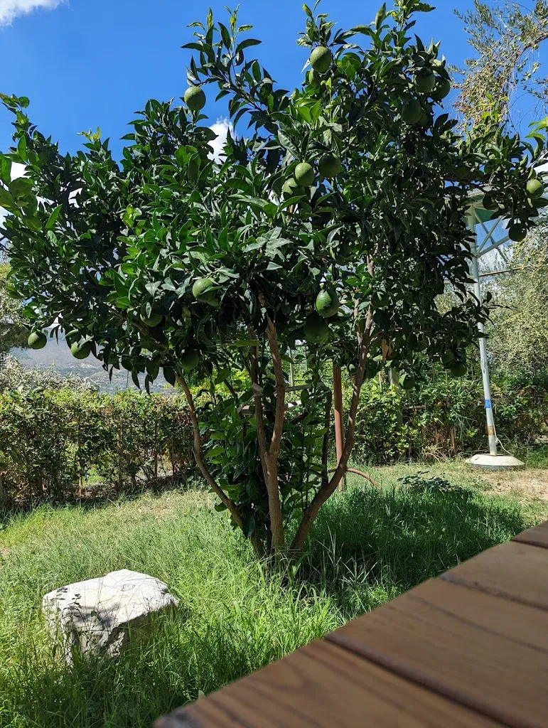 Victoria S_Taverna Lazaro_Albania_review