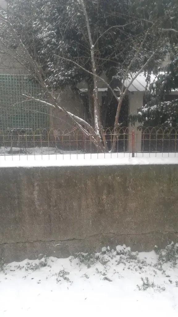 Association Restaurant du Cœur restaurant in Bessèges