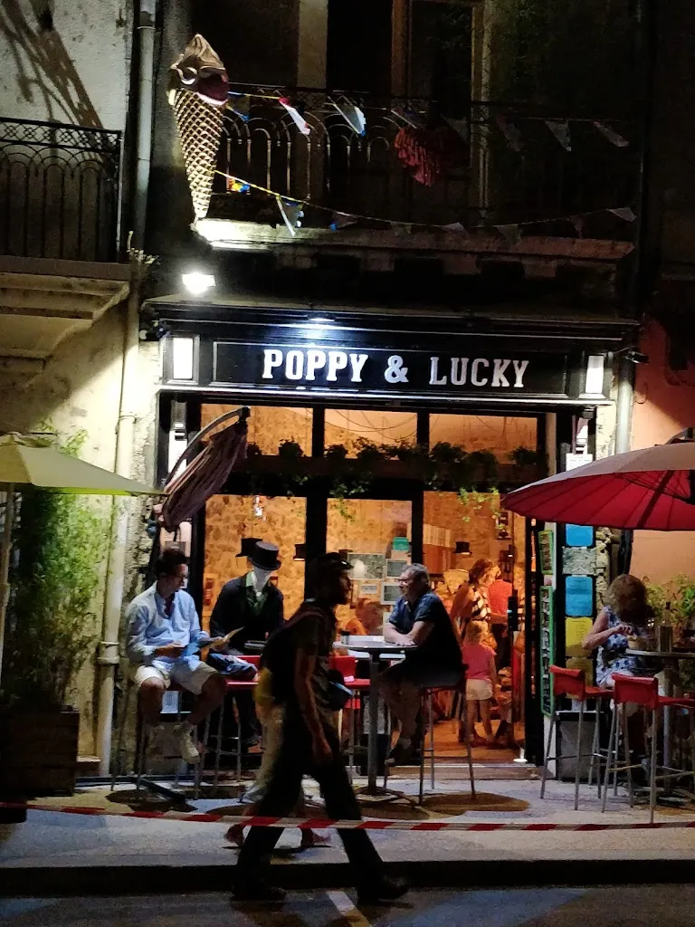 Christophe Gagin_POPPY & LUCKY_Saint-Ambroix_recensione