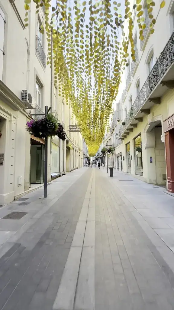 Ray D_Le Patio_Béziers_review