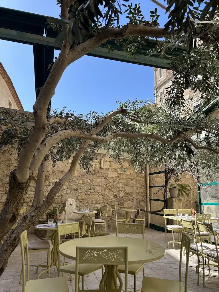 Carolyn Hughes_Le Patio_Béziers_review