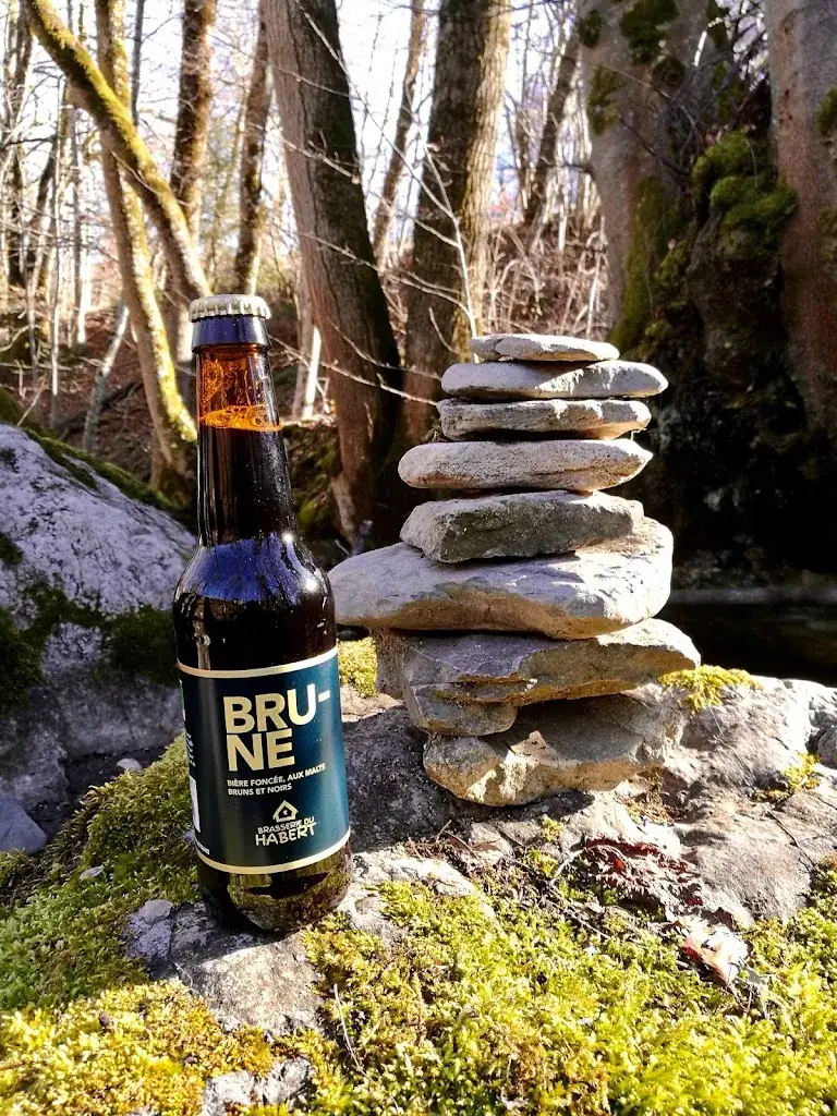 Menu_Brasserie du Habert_Touvet_image_5